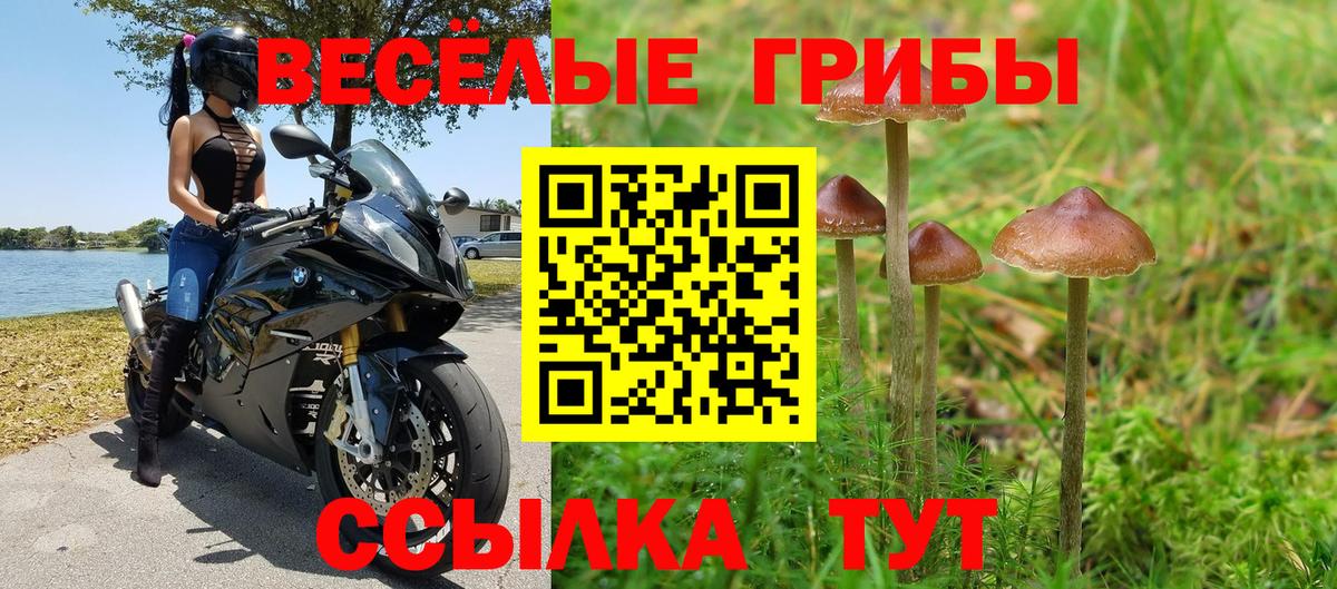 Галлюциногенные грибы GOLDEN TEACHER Аргун