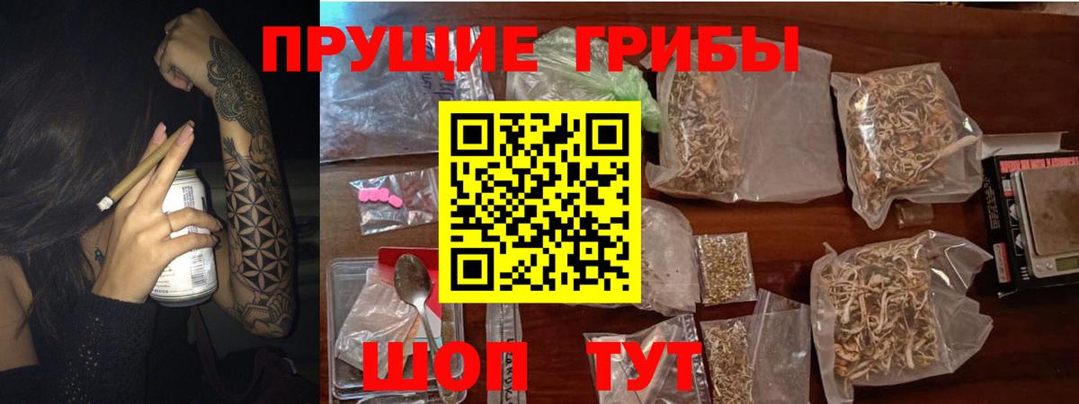 как найти закладки  Галлюциногенные грибы Magic Shrooms  Вход с VPN  Аргун  Галлюциногенные грибы Psilocybe 